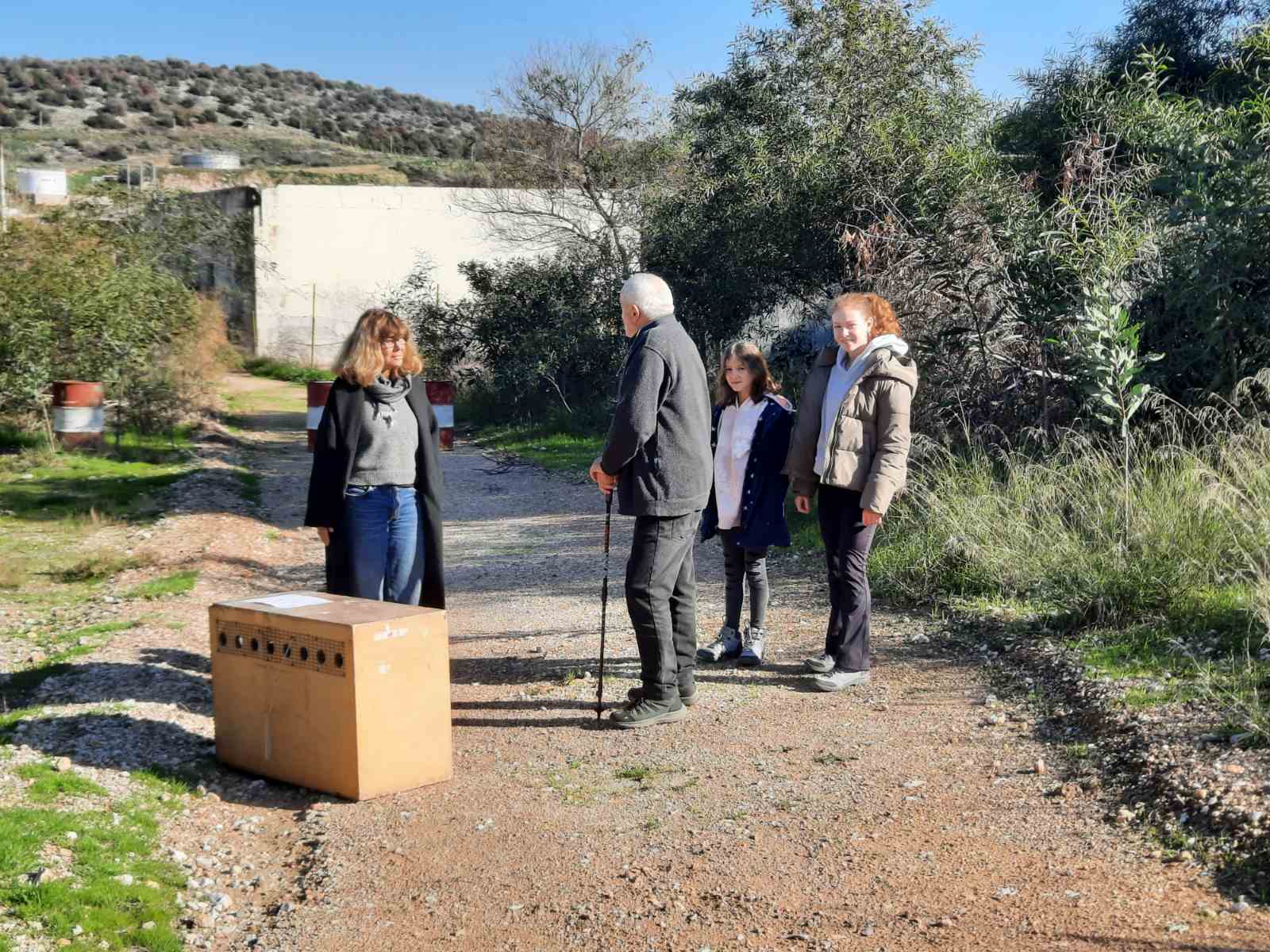 Ο κύκνος επέστρεψε στη Λίμνη Κουμουνδούρου και στο ταίρι του 4 Ο κύκνος επέστρεψε στη Λίμνη Κουμουνδούρου και στο ταίρι του 3