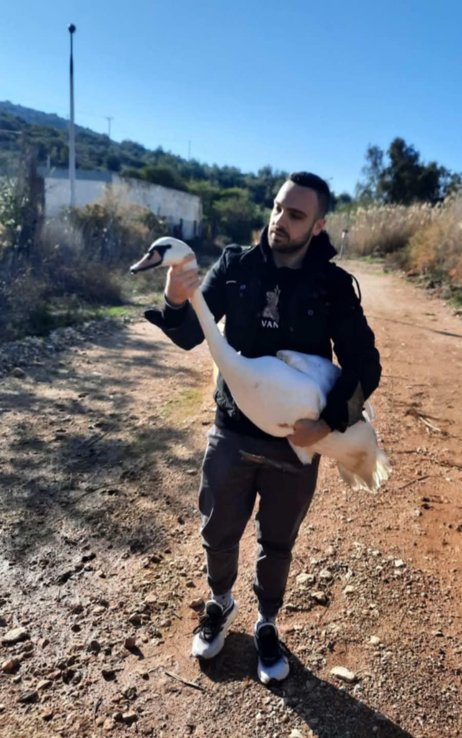 Η επιστροφή του κύκνου στον... απαγορευμένο παράδεισο (βίντεο) - Μήπως ήρθε η ώρα να φύγει το Στρατόπεδο; 6 Η επιστροφή του κύκνου στον... απαγορευμένο παράδεισο (βίντεο) - Μήπως ήρθε η ώρα να φύγει το Στρατόπεδο; 5