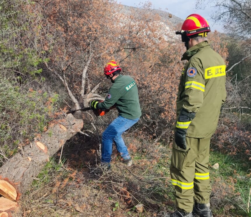 Διομήδειος Κήπος: Σημαντική εθελοντική δράση στο δάσος με διπλό σκοπό 1