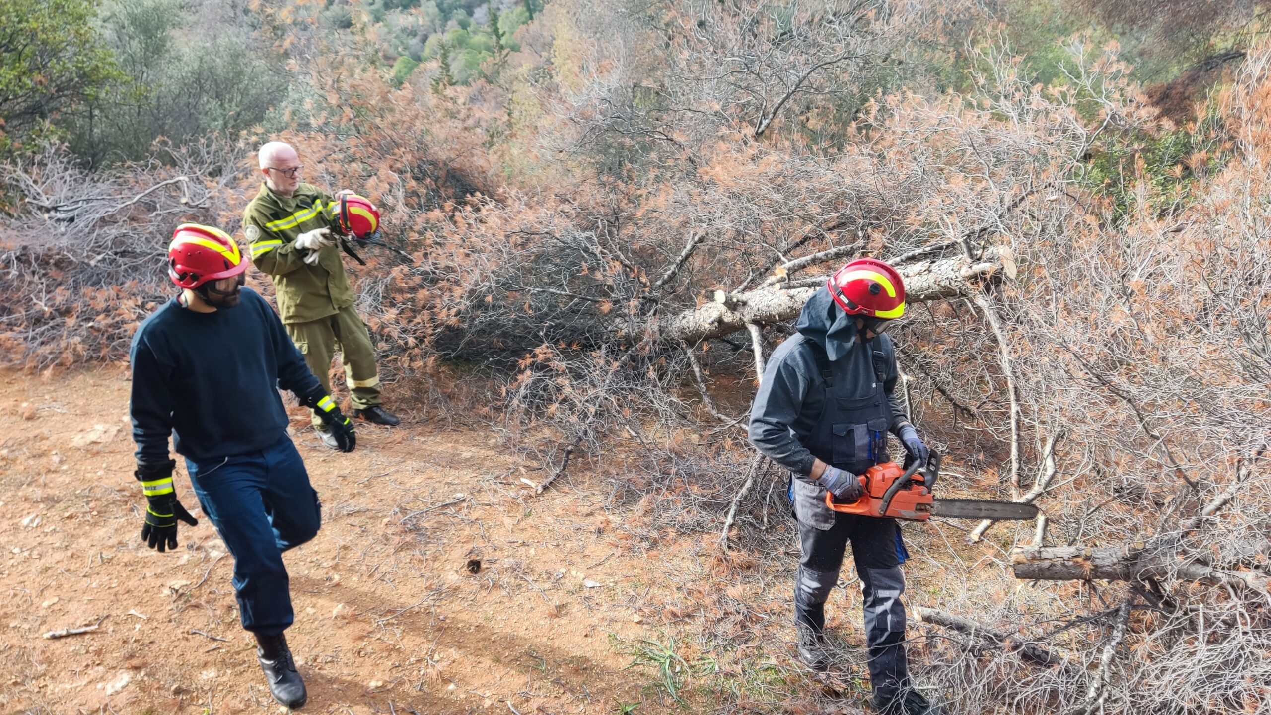 Διομήδειος Κήπος: Σημαντική εθελοντική δράση στο δάσος με διπλό σκοπό 5