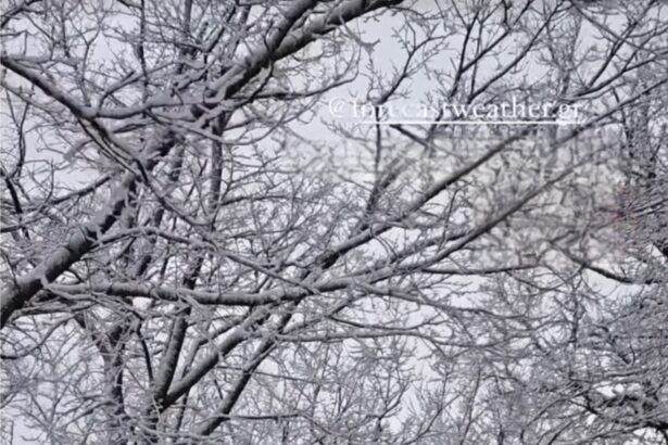 Χιόνια στην Πάρνηθα: Πανέμορφες εικόνες και κυκλοφοριακές ρυθμίσεις 3