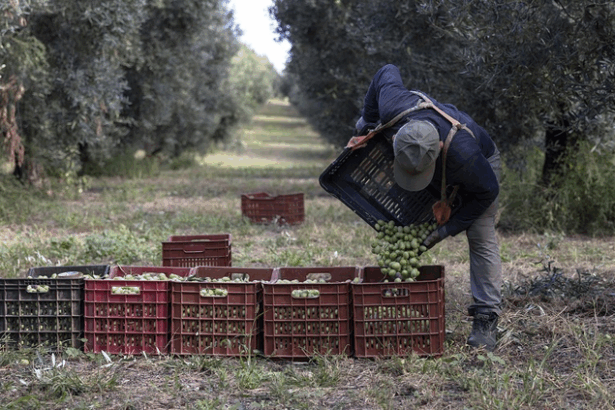 ΠΑΣΟΚ: Δυσθεώρητες οι εκκρεμότητες στις άδειες μεταναστών - Τα στατιστικά στοιχεία 15