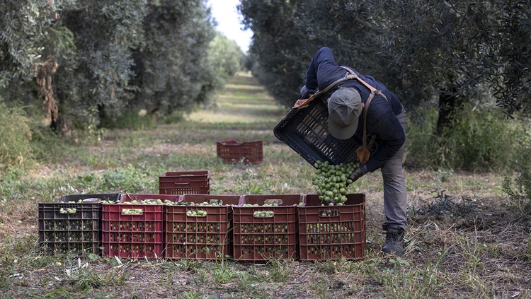 ΠΑΣΟΚ: Δυσθεώρητες οι εκκρεμότητες στις άδειες μεταναστών - Τα στατιστικά στοιχεία 2 ΠΑΣΟΚ: Δυσθεώρητες οι εκκρεμότητες στις άδειες μεταναστών - Τα στατιστικά στοιχεία 1