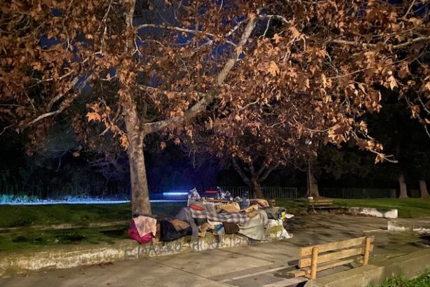 "Γιατί αφήνουν την Ελένη μόνη, να κοιμάται στο κρύο και την υγρασία;" 19