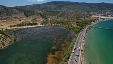 ΕΒΕΠ για νέο Κόμβο Σκαραμαγκά: Καθοριστική συμβολή στην ανταγωνιστικότητα των επιχειρήσεων 7