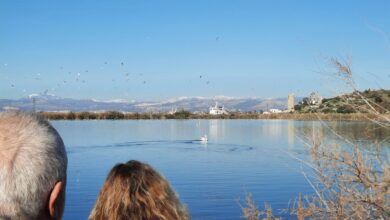 Η επιστροφή του κύκνου στον... απαγορευμένο παράδεισο (βίντεο) - Μήπως ήρθε η ώρα να φύγει το Στρατόπεδο; 39