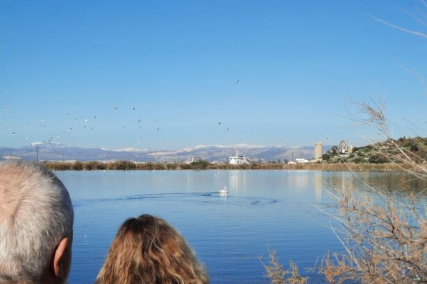 Η επιστροφή του κύκνου στον... απαγορευμένο παράδεισο (βίντεο) - Μήπως ήρθε η ώρα να φύγει το Στρατόπεδο; 25