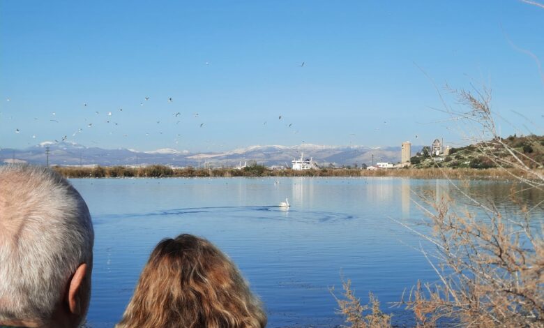 Η επιστροφή του κύκνου στον... απαγορευμένο παράδεισο (βίντεο) - Μήπως ήρθε η ώρα να φύγει το Στρατόπεδο; 2 Η επιστροφή του κύκνου στον... απαγορευμένο παράδεισο (βίντεο) - Μήπως ήρθε η ώρα να φύγει το Στρατόπεδο; 1