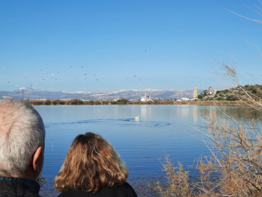 Η επιστροφή του κύκνου στον... απαγορευμένο παράδεισο (βίντεο) - Μήπως ήρθε η ώρα να φύγει το Στρατόπεδο; 1