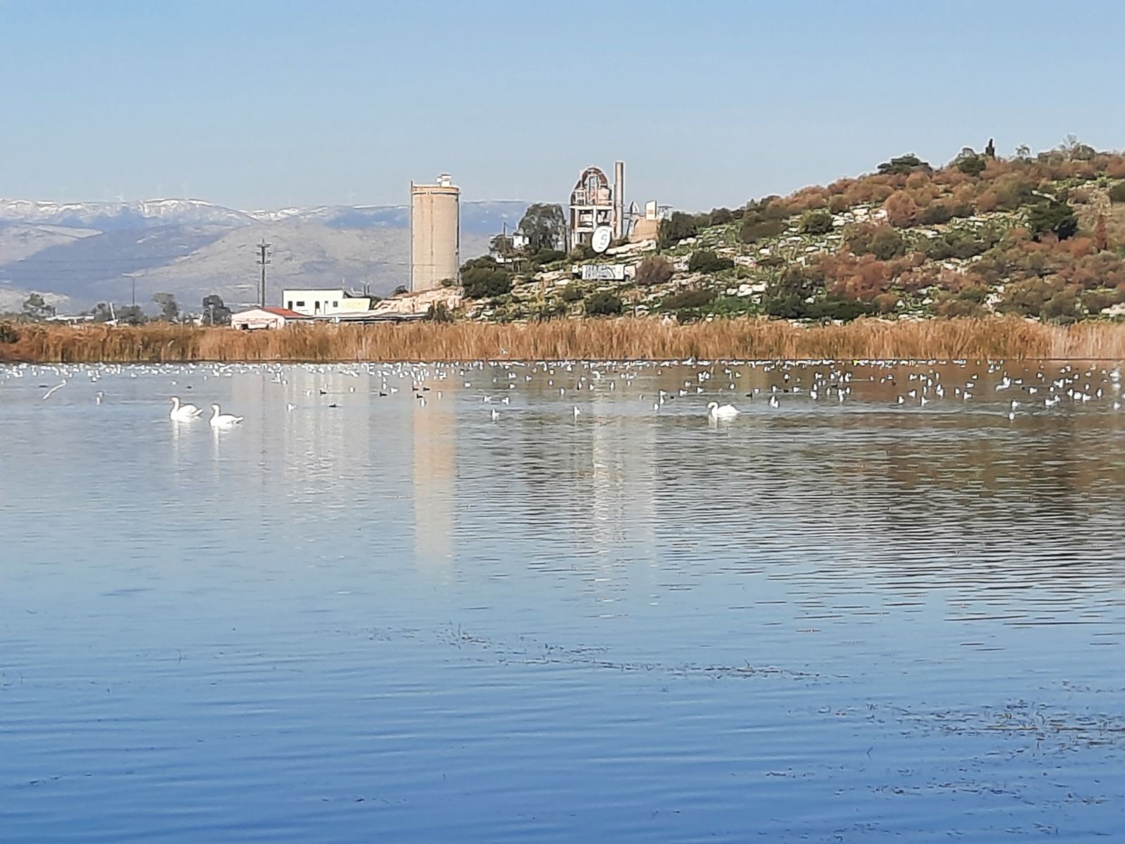 Η επιστροφή του κύκνου στον... απαγορευμένο παράδεισο (βίντεο) - Μήπως ήρθε η ώρα να φύγει το Στρατόπεδο; 8 Η επιστροφή του κύκνου στον... απαγορευμένο παράδεισο (βίντεο) - Μήπως ήρθε η ώρα να φύγει το Στρατόπεδο; 7