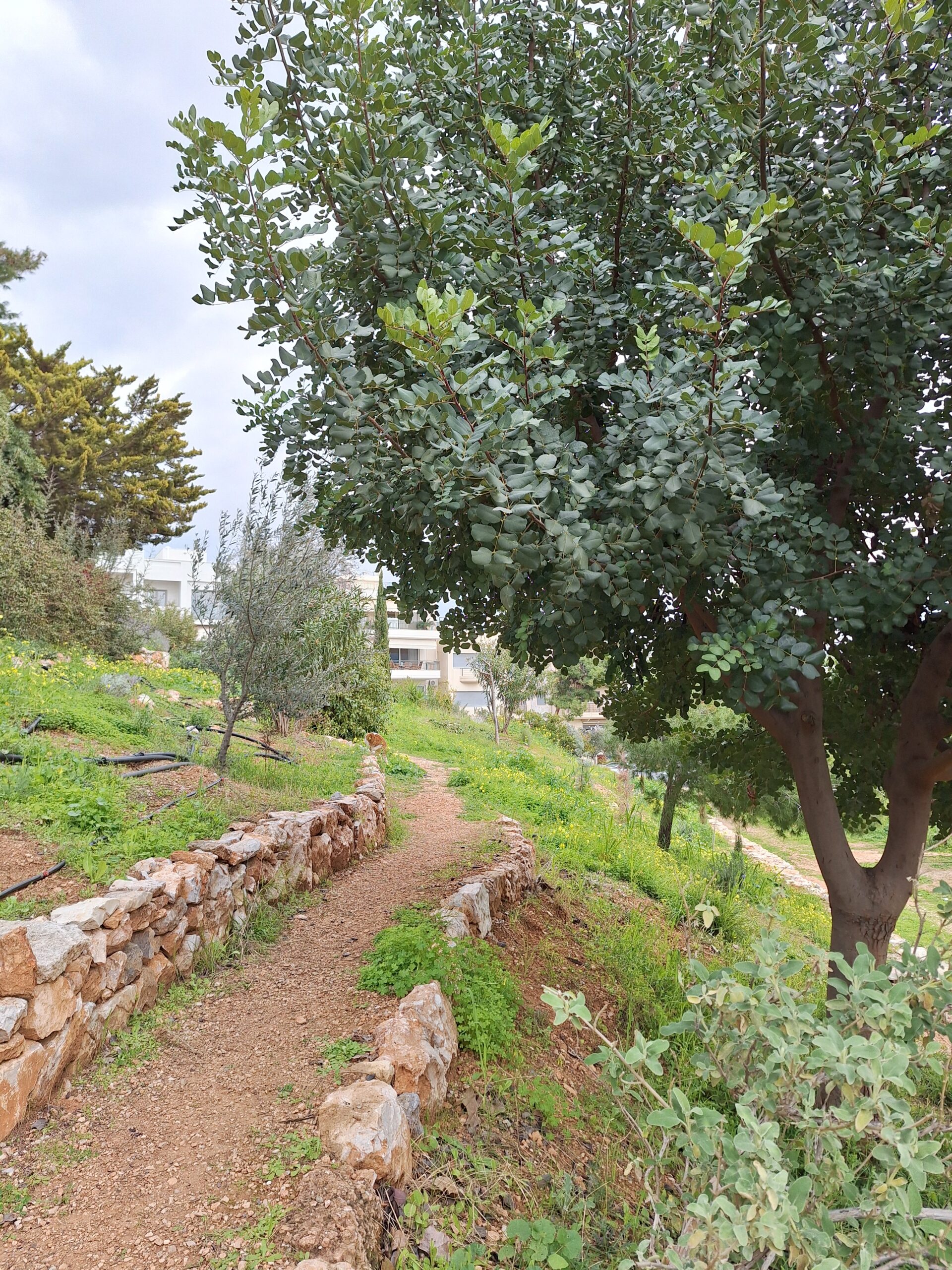 Βραβείο στην Verde.Tec για το "χειροποίητο" Πάρκο Εθελοντισμού στο Δάσος Χαϊδαρίου! 18 Βραβείο στην Verde.Tec για το "χειροποίητο" Πάρκο Εθελοντισμού στο Δάσος Χαϊδαρίου! 17