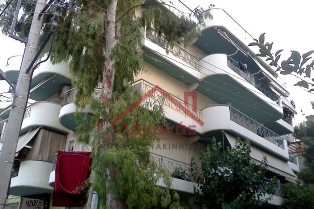 Πωλείται ανακαινισμένο διαμέρισμα στην Πετρούπολη 23