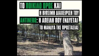 Εκδήλωση: "Για την προστασία του Ποικίλου Όρους και το πρόγραμμα πυροπροστασίας AntiNero" 58