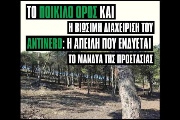 Εκδήλωση: "Για την προστασία του Ποικίλου Όρους και το πρόγραμμα πυροπροστασίας AntiNero" 3