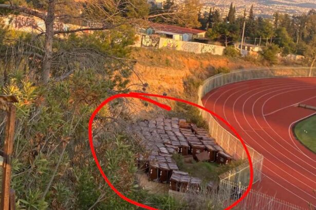 Άρης Πανόπουλος: Να αλλάξει η νοοτροπία παρακμής 19