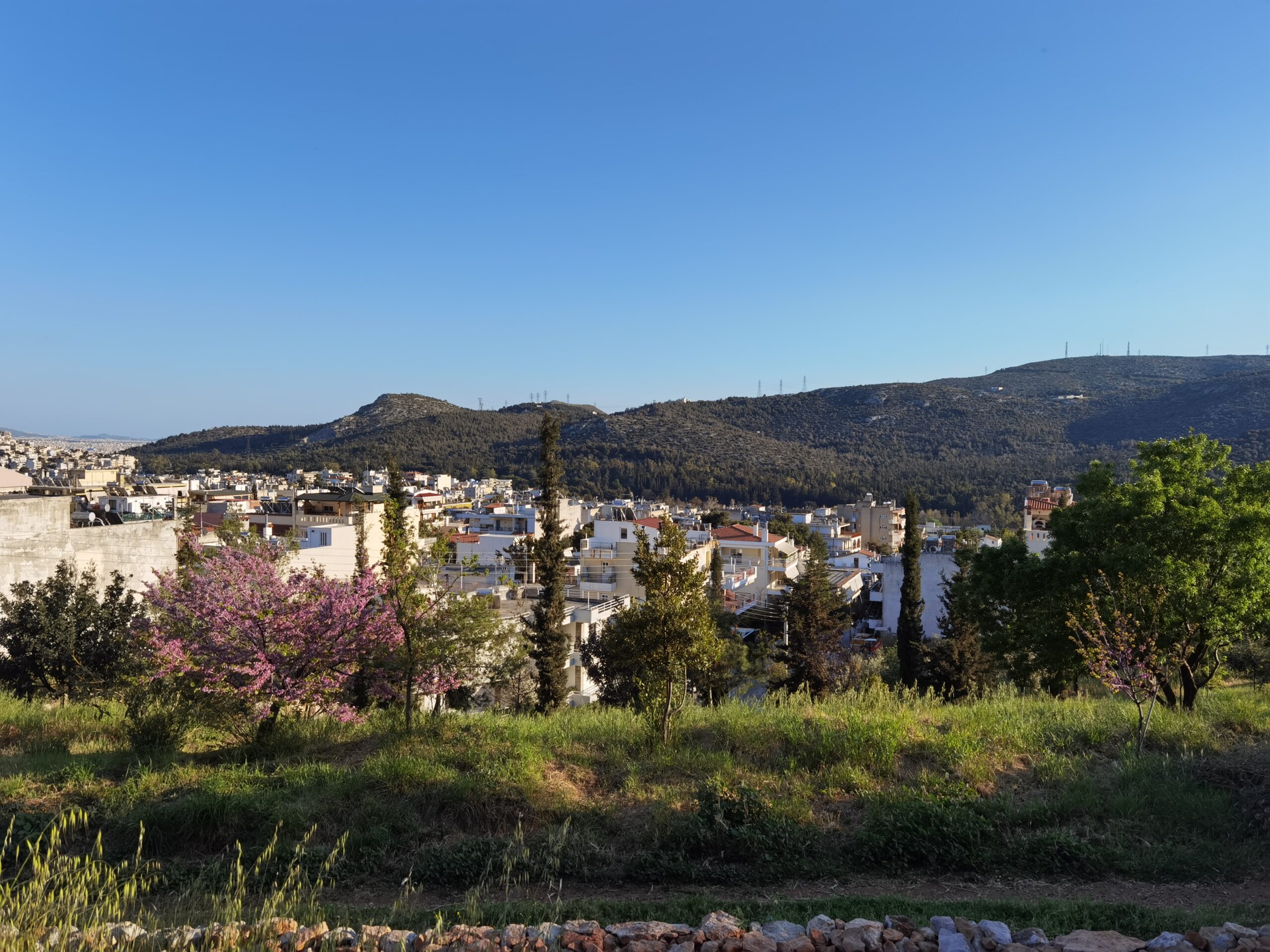 Βραβείο στην Verde.Tec για το "χειροποίητο" Πάρκο Εθελοντισμού στο Δάσος Χαϊδαρίου! 16 Βραβείο στην Verde.Tec για το "χειροποίητο" Πάρκο Εθελοντισμού στο Δάσος Χαϊδαρίου! 15