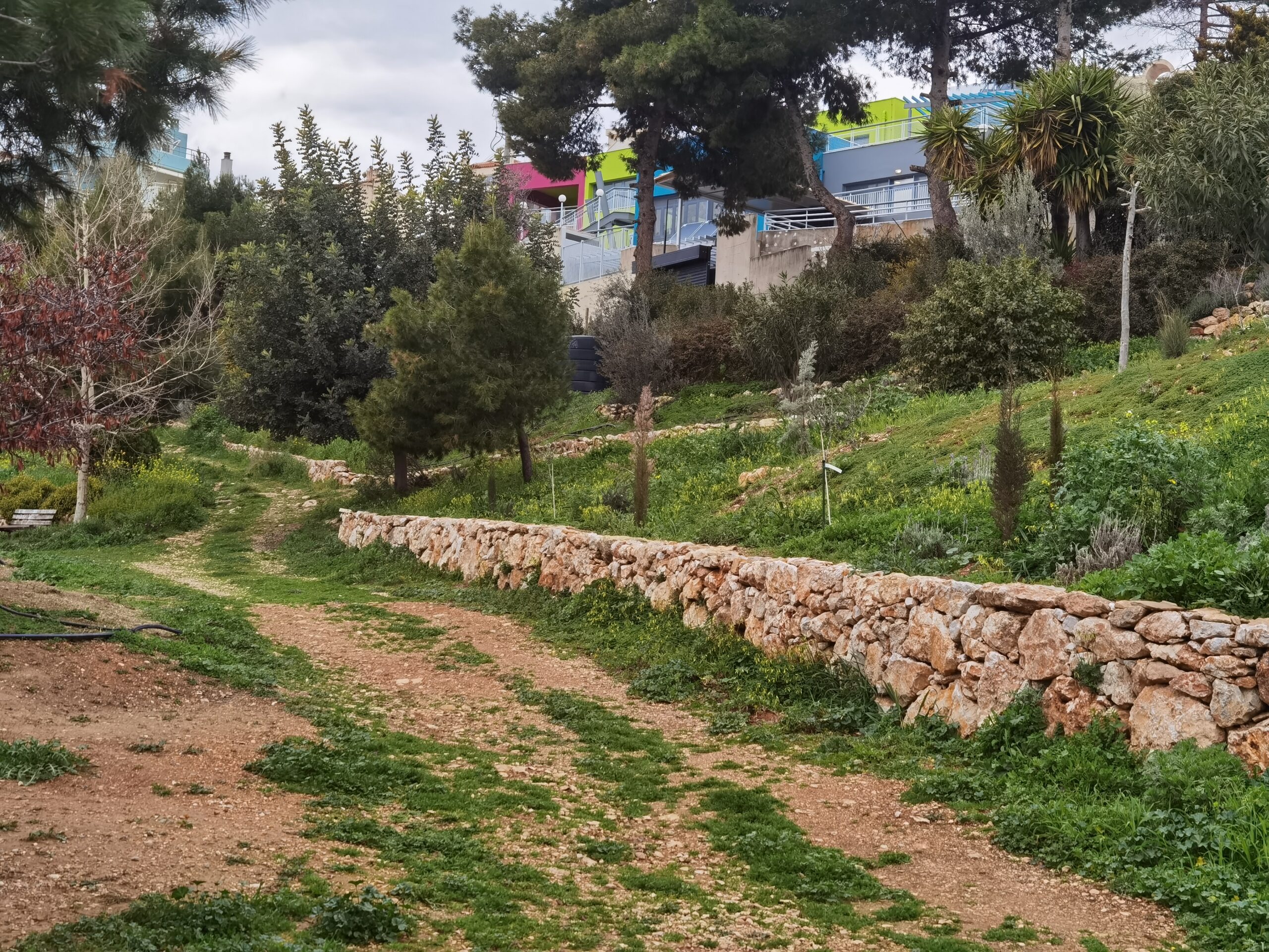Βραβείο στην Verde.Tec για το "χειροποίητο" Πάρκο Εθελοντισμού στο Δάσος Χαϊδαρίου! 12 Πάρκο Εθελοντισμού