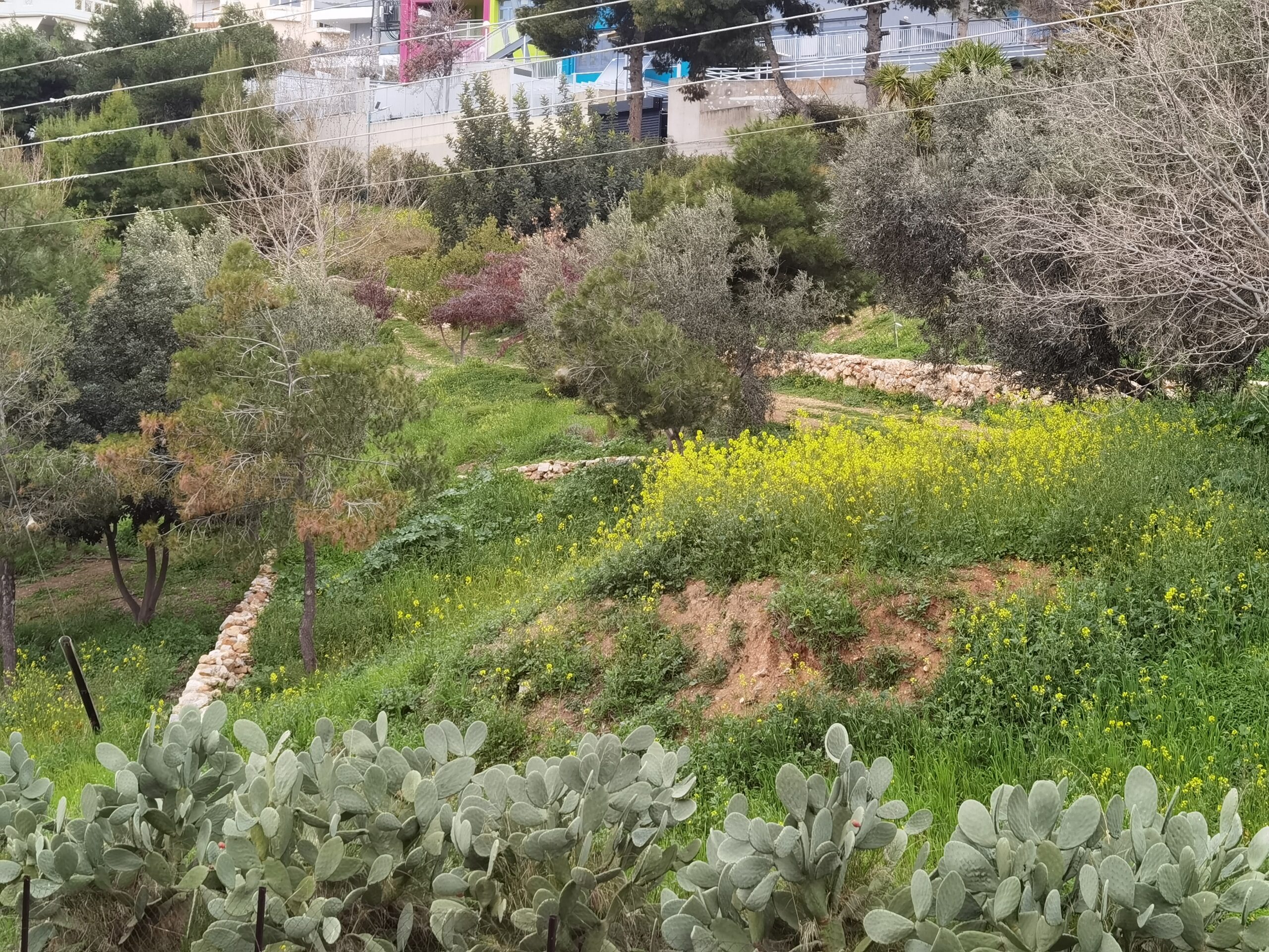 Βραβείο στην Verde.Tec για το "χειροποίητο" Πάρκο Εθελοντισμού στο Δάσος Χαϊδαρίου! 14 Βραβείο στην Verde.Tec για το "χειροποίητο" Πάρκο Εθελοντισμού στο Δάσος Χαϊδαρίου! 13