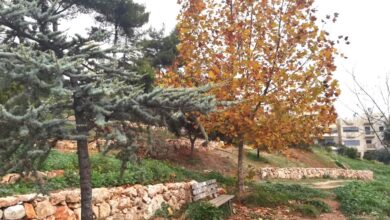 Βραβεύεται στα Greek Green Awards της Verde-Tec το "χειροποίητο" πάρκο στο Δάσος Χαϊδαρίου 70
