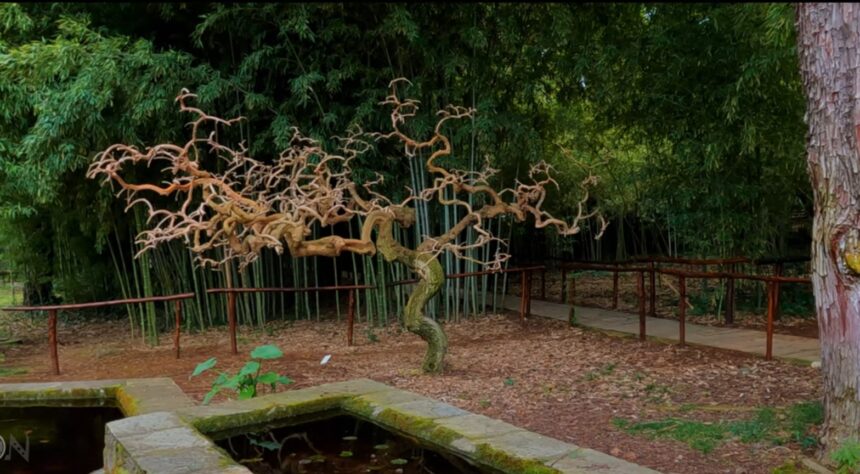 The Diomidous Botanical Garden - Video 1