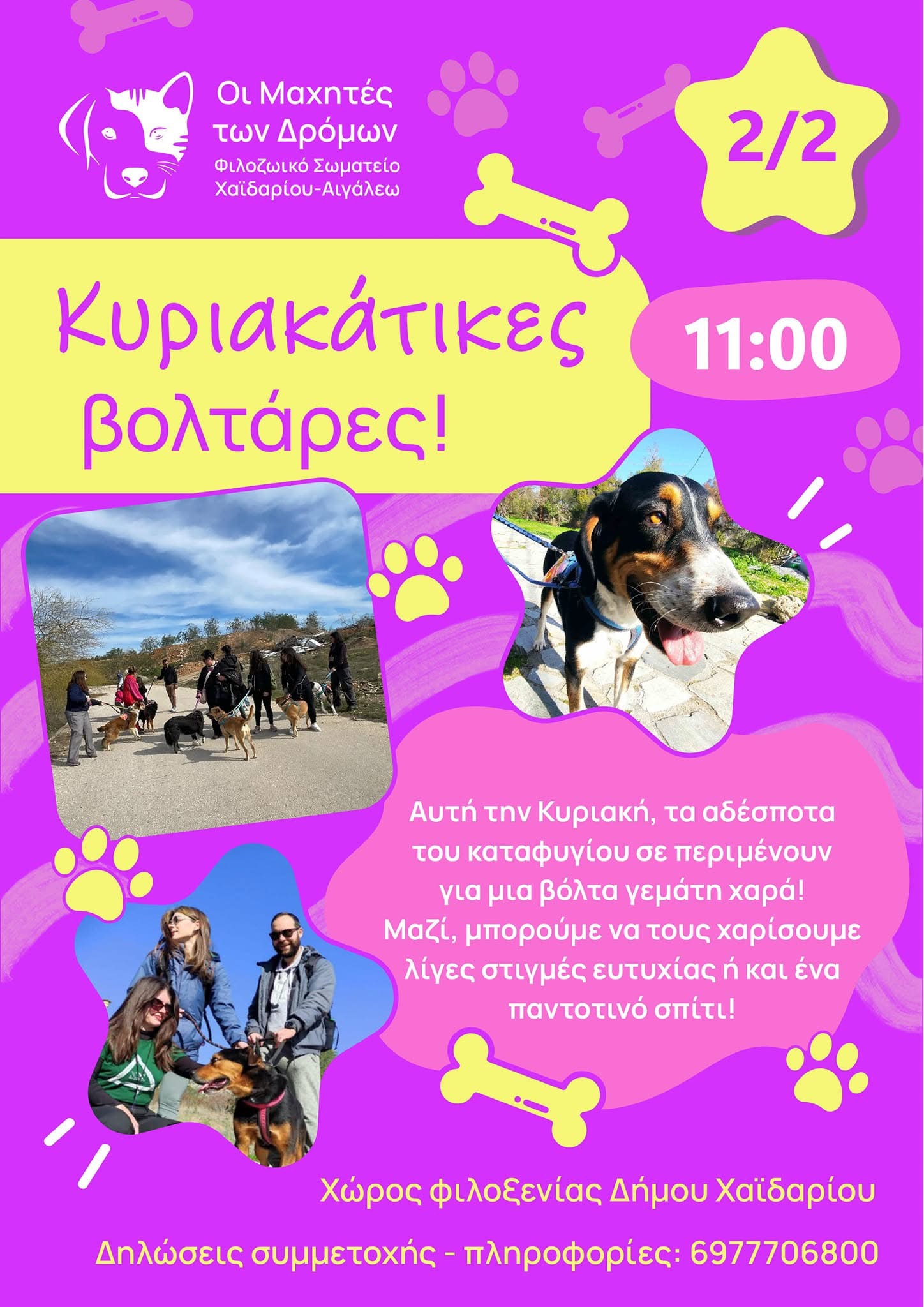 "Κυριακάτικες βολτάρες!" - Έλα να τα βγάλουμε από τα κλουβιά, γίνε η παρέα που περιμένουν 4 "Κυριακάτικες βολτάρες!" - Έλα να τα βγάλουμε από τα κλουβιά, γίνε η παρέα που περιμένουν 3