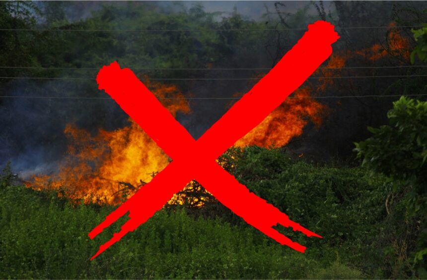 Μεγάλη άσκηση σήμερα στον Διομήδειο Κήπο 1