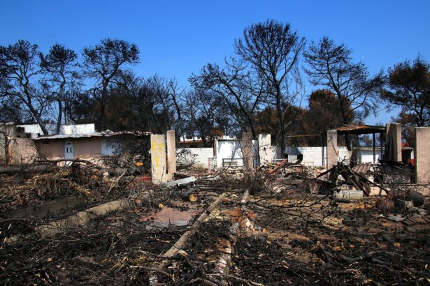 Δίκη για το Μάτι – Σύλλογος συγγενών Θανόντων Εγκαυματιών: "Καλούμε τους συμπολίτες μας να σταθούν στο πλάι μας" 47