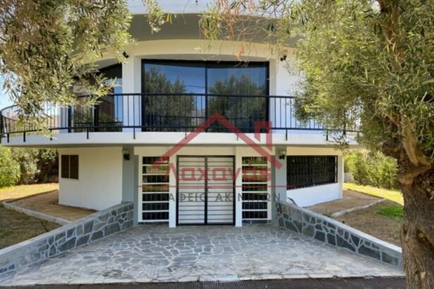 Ενοικιάζεται προνομιακή μονοκατοικία στην Κινέτα 43