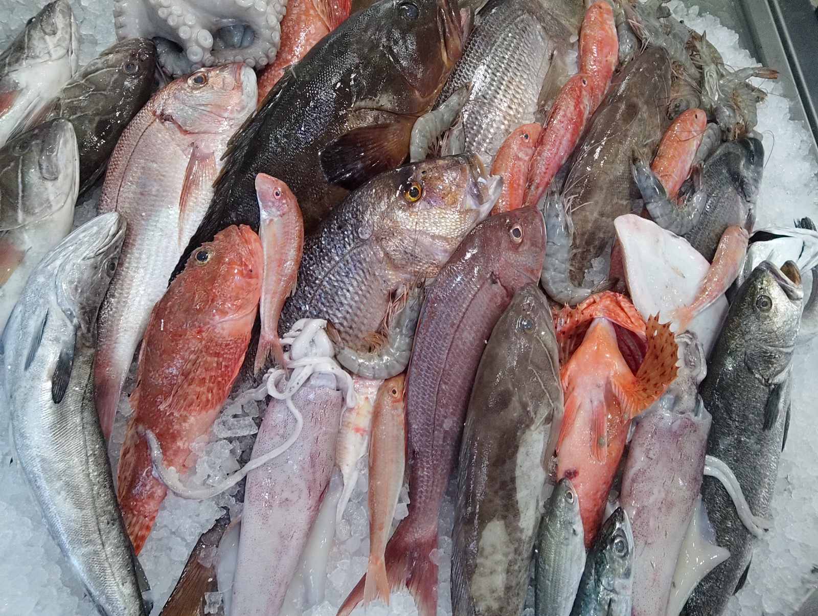 Παράγγειλε από την Αργυρόνησο – Fish & Grill: Take Away & Delivery για την 25η Μαρτίου 6 Παράγγειλε από την Αργυρόνησο – Fish & Grill: Take Away & Delivery για την 25η Μαρτίου 5