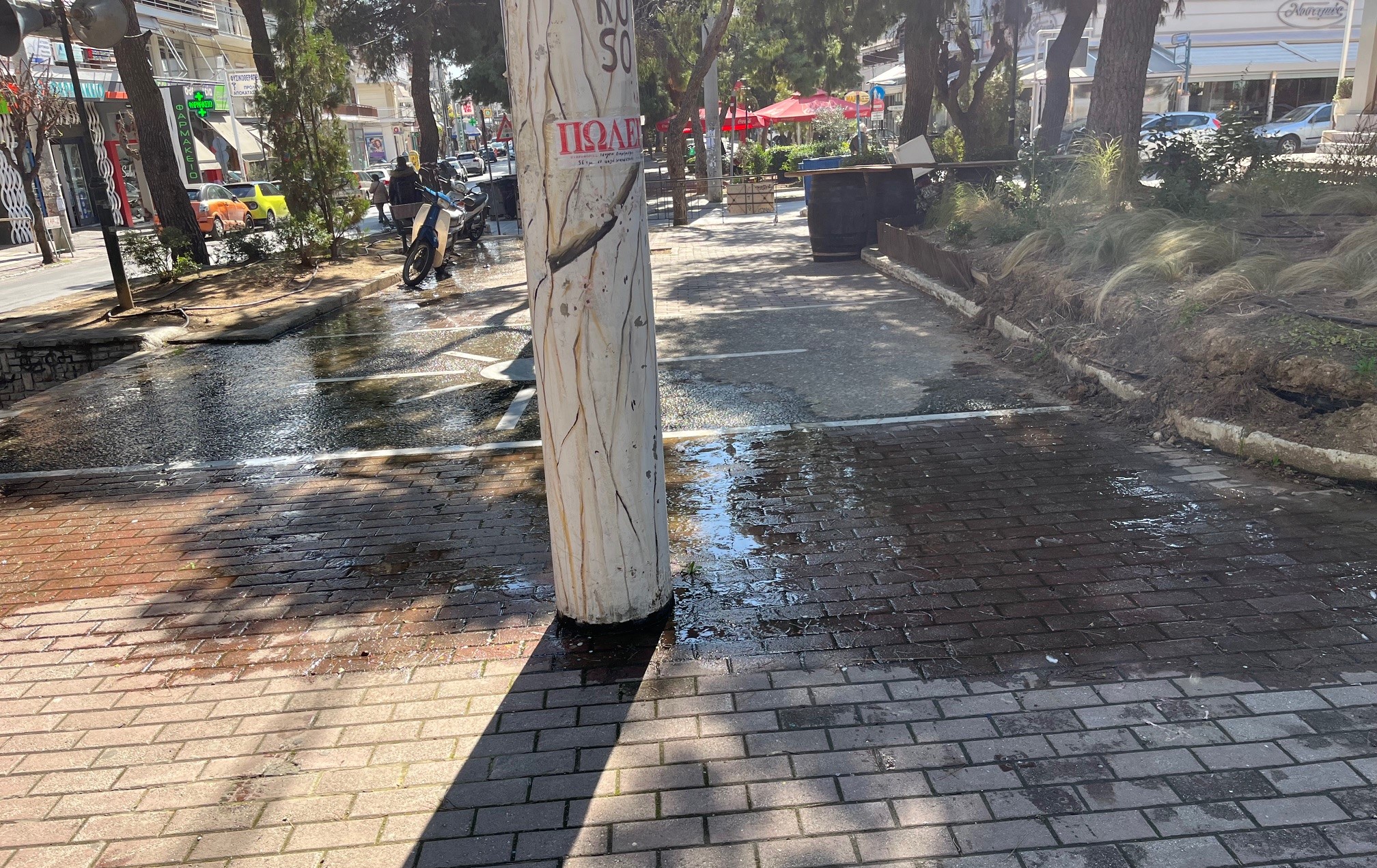 15 μέρες σφυροκόπημα της υπομονής μας 8 15 μέρες σφυροκόπημα της υπομονής μας 7
