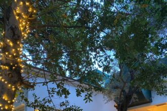 Φθινοπωρινό Βrunch στη «Γιορτή»: όταν η εποχή συναντά τη γεύση 28