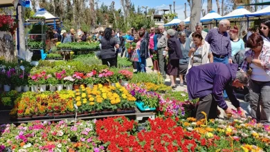 Ξεκινάει η Έκθεση "Φυτά & Κήπος" στο Άλσος Περιστερίου - Πλούσιο πρόγραμμα παραστάσεων, ελεύθερη είσοδος 31