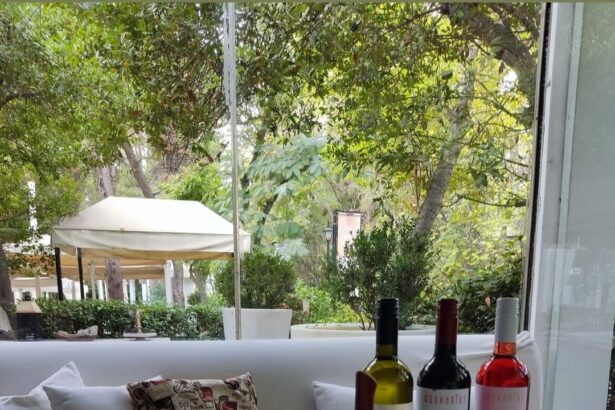 Γιορτάστε τον Άγιο Γεώργιο με Άρωμα Εξοχής στο Εστιατόριο «Γιορτή» στο Πάρκο Δαφνίου στο Χαϊδάρι 27