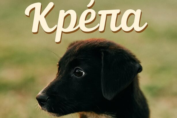 Η Κρέπα, η Βάφλα, ο Μπεν, ο Τάισον, σε πασχαλινή εκδήλωση προσφοράς και αγάπης 27