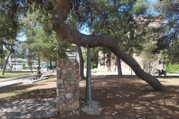 11 φωτογραφίες από το Παλατάκι που βεβαιώνουν ότι "δεν λύνονται όλα τα προβλήματα με τη ντουντούκα" 55