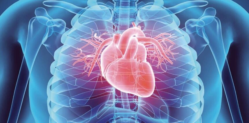 Αποτελεσματική θεραπεία για στένωση αορτής: Ο καρδιοχειρουργός εξηγεί όσα πρέπει να γνωρίζετε 1