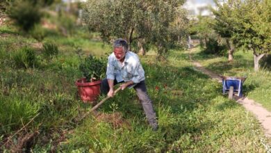 Συμβολικό φύτεμα βάγιας στο Πάρκο Εθελοντισμού - Μονοπάτια Υγείας μέσα στην πόλη 19
