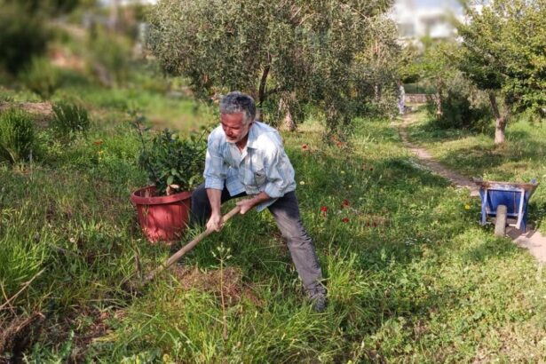 Συμβολικό φύτεμα βάγιας στο Πάρκο Εθελοντισμού - Μονοπάτια Υγείας μέσα στην πόλη 39