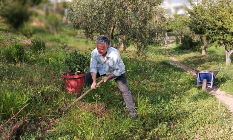 Συμβολικό φύτεμα βάγιας στο Πάρκο Εθελοντισμού - Μονοπάτια Υγείας μέσα στην πόλη 2 Συμβολικό φύτεμα βάγιας στο Πάρκο Εθελοντισμού - Μονοπάτια Υγείας μέσα στην πόλη 1