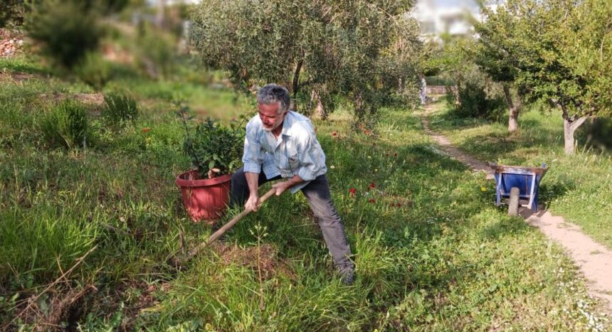 Συμβολικό φύτεμα βάγιας στο Πάρκο Εθελοντισμού - Μονοπάτια Υγείας μέσα στην πόλη 1