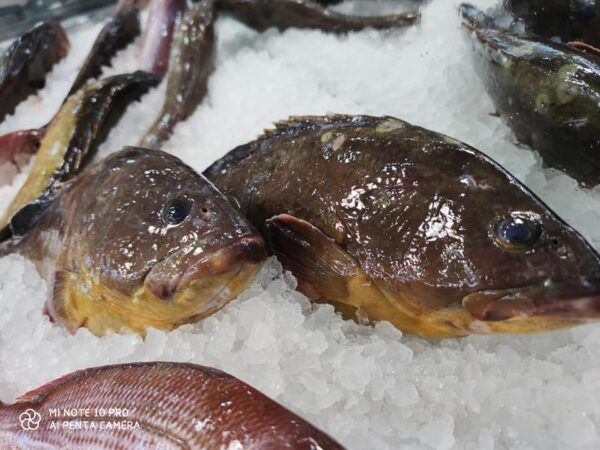 Κυριακή των Βαΐων στην Αργυρόνησο Fish & Grill – Γιορτή με άρωμα θάλασσας! 10 Κυριακή των Βαΐων στην Αργυρόνησο Fish & Grill – Γιορτή με άρωμα θάλασσας! 9