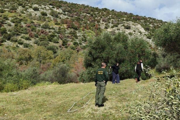 Διάνοιξη ζώνης πλάτους 10 μέτρων στο Ποικίλο Όρος 19