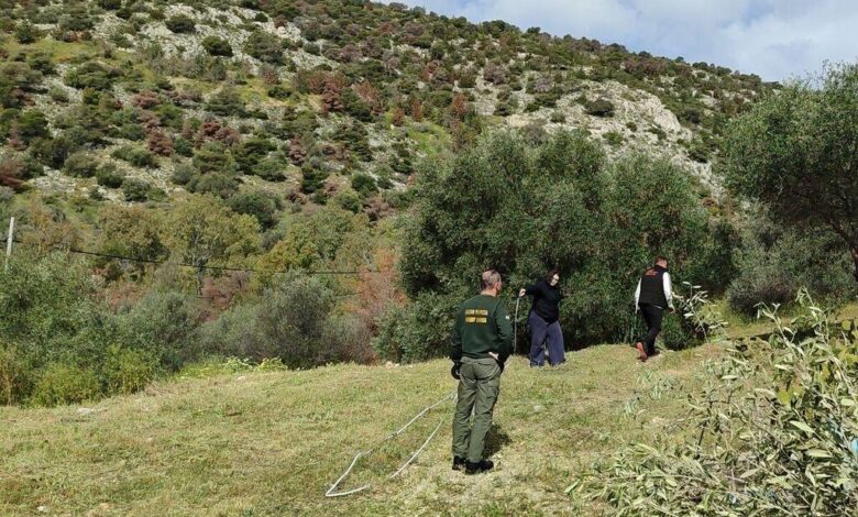 Διάνοιξη ζώνης πλάτους 10 μέτρων στο Ποικίλο Όρος 2 Διάνοιξη ζώνης πλάτους 10 μέτρων στο Ποικίλο Όρος 1