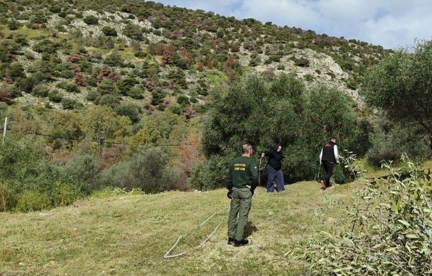 Διάνοιξη ζώνης πλάτους 10 μέτρων στο Ποικίλο Όρος 2 Διάνοιξη ζώνης πλάτους 10 μέτρων στο Ποικίλο Όρος 1