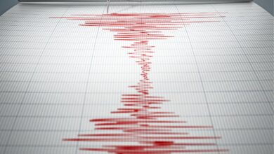 Ανησυχία για τον χορό των Ρίχτερ στην Εύβοια - Τι λένε οι σεισμολόγοι 6