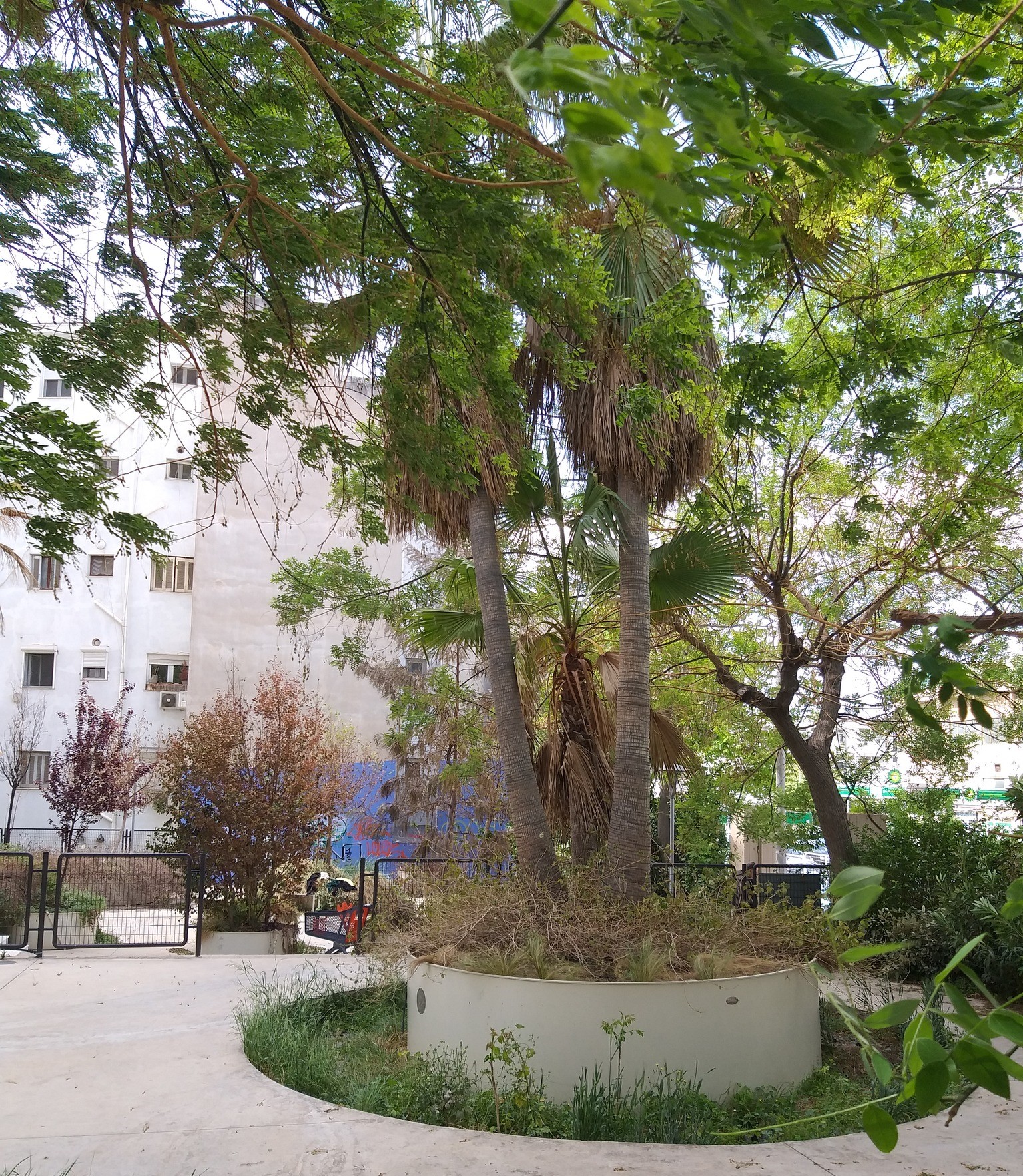 Η τύχη των τενεκέδων του Συντάγματος - Από τον Μπακογιάννη στον Δούκα 12 Η τύχη των τενεκέδων του Συντάγματος - Από τον Μπακογιάννη στον Δούκα 11