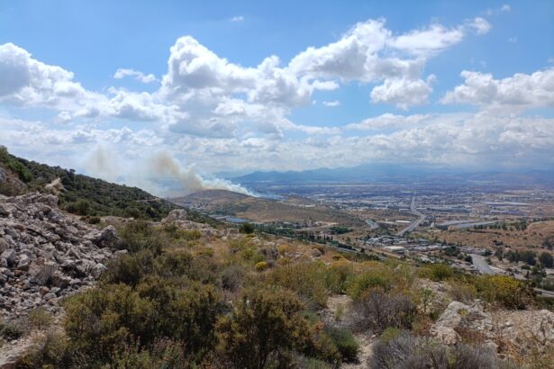 Φωτιά τώρα στον Ασπρόπυργο 15