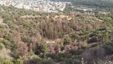 Καταγγελία στην Εισαγγελία Περιβάλλοντος για τις αντιπυρικές ζώνες στο Χαϊδάρι 7