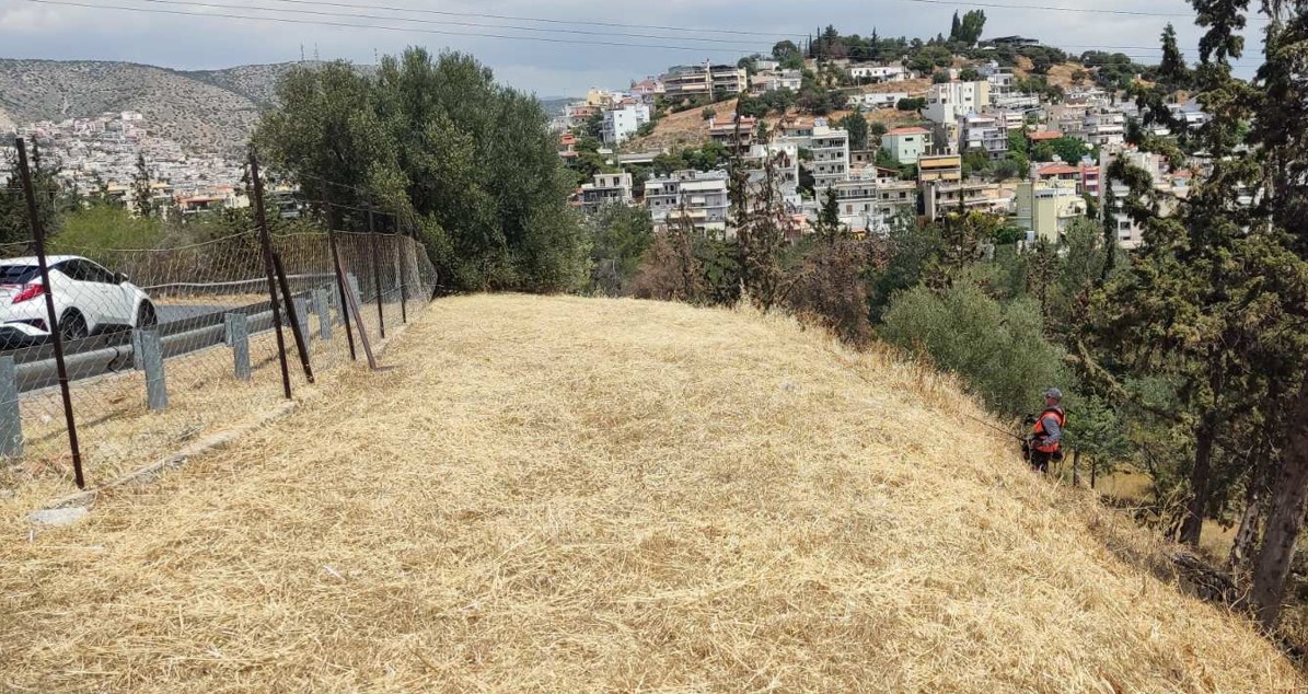 Επιχείρηση καθαρισμού σε έναν από τους πιο βρόμικους και επικίνδυνους για φωτιά δρόμους του Χαϊδαρίου 3