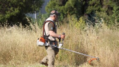 Δραματική έκκληση της ΑΝΙΜΑ για τις χορτοκοπές: "Δείξτε ευαισθησία" 36
